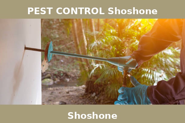 PEST CONTROL Shoshone